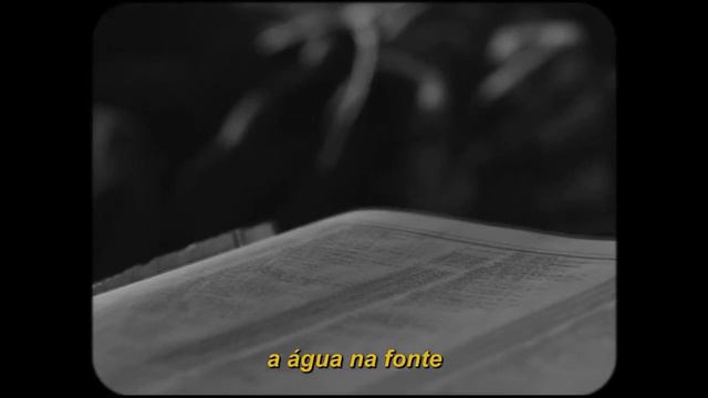 William Fitzsimmons - Beautiful Girl (legendado)