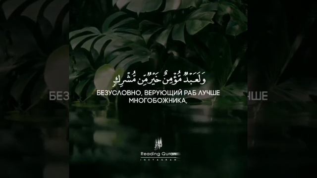 Куран Сура Бакара, аят 221 | Ахмад Аш-Шафии