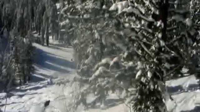 Snow Cat Day At Grand Targhee