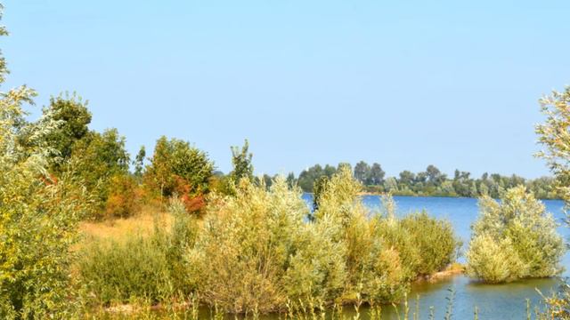 Auf Der Heide Blühn Die Letzten Rosen!