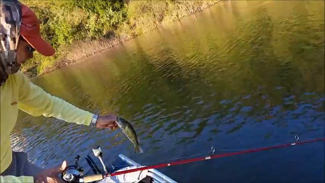 Pescaria Com Rodrigo, Leandro E Paulo -  Guia Augusto Iwato