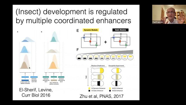 Theory Of Living Systems Webinar - Dr. Paul François (McGill University)