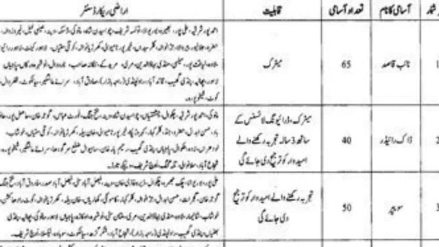Punjab Land Record Authority Jobs 2020 || Jobspak Official ||
