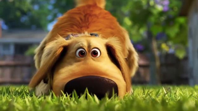 Dug Y Carl (Dug Days) : 