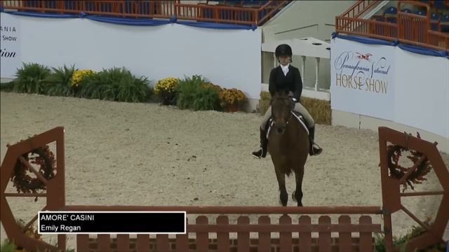 82 AMORE' CASINI   Emily Regan   Childrens Hunter 14 & Under Round 2