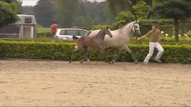 780c01152c9f101b454c9bea3e5b68bb