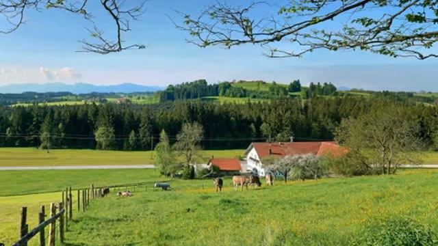 Janis Ivanovs, Symphony No 2 In D Minor