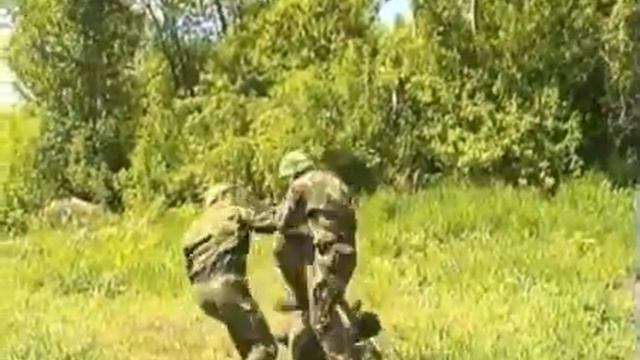 Система  Сибирский кулак