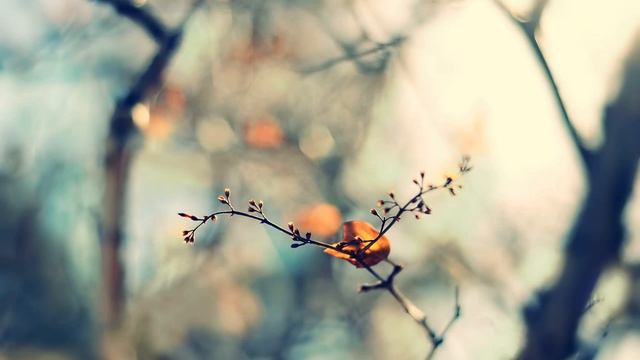 25-02-18 Bert De Haan - Principes Van In Bezit Nemen