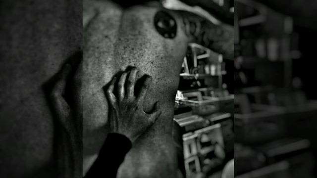 D0f5a47f2e80a82a8ecb065903cabad6