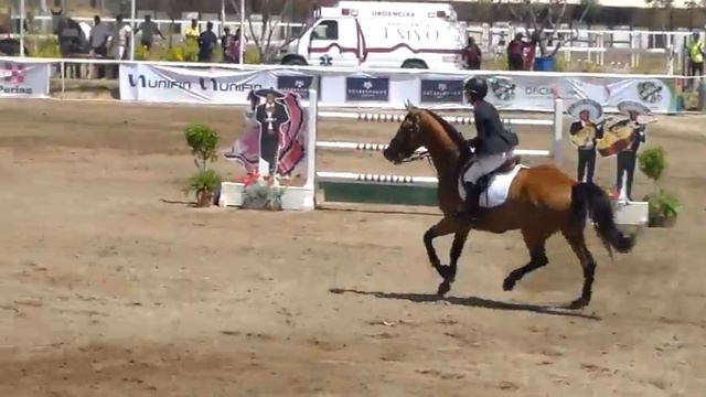 Maria Jose De La Torre- Wiseguy Gran Premio La Hipica