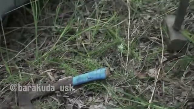 B1981225e0be5f5a5e205e40b12846ac