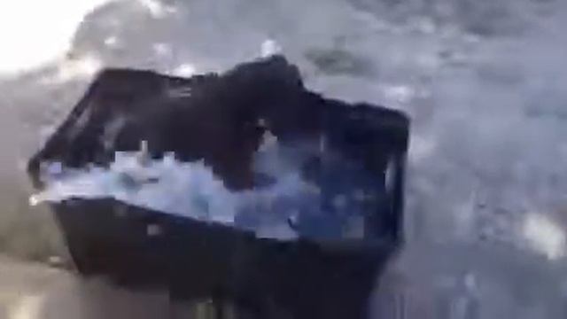 Сабакин. 1 сабакин!