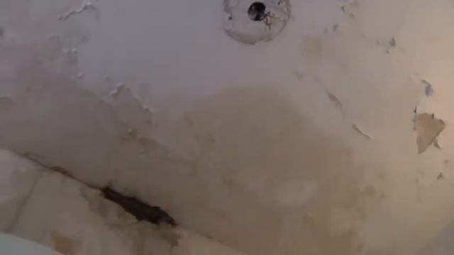 San Giorgio Di Acilia, Via Domenico Morelli: Piove Nelle Palazzine Comunali