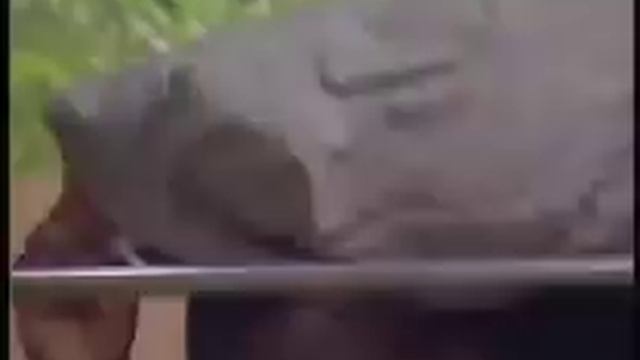 Big Brother 5 (UK) Recap 2/12