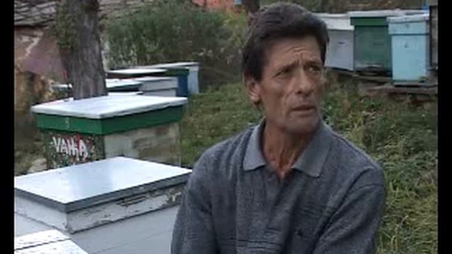 # PKG PCELAR GOSTUSA 31102013