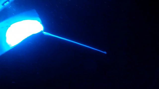 Night Snorkeling With The Manta Rays On The Big Island Of Hawaii