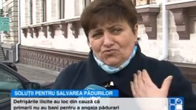 Autorităţile Au Decis Cum Vor Proteja Pădurile împotriva Hoţilor De Lemn Sol 34127400