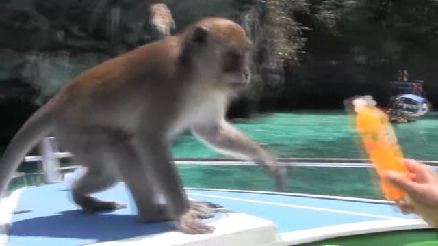 Äventyr I Thailand #2 - APORNAS Ö & KOH PHI PHI