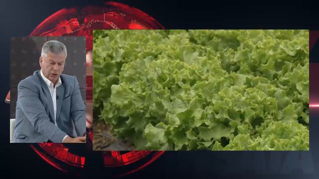 F08f32a2612cff696ebb95f0190c29a4