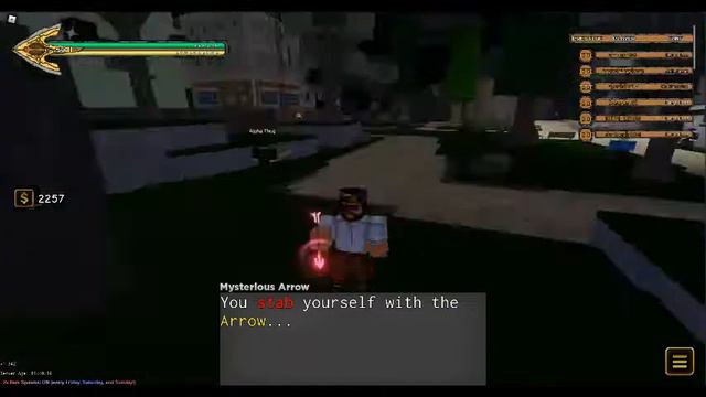 Using The Lucky Arrow Code In Yba ;)