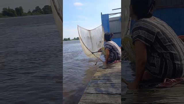 Lagi Yodok Jukut Bilis Semayang..