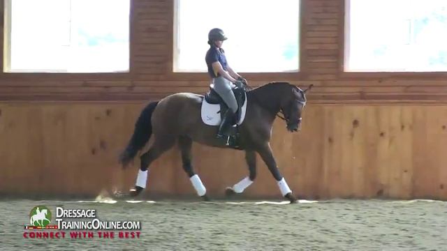 Dressage With Dr. Ulf Moller - Four Year Old