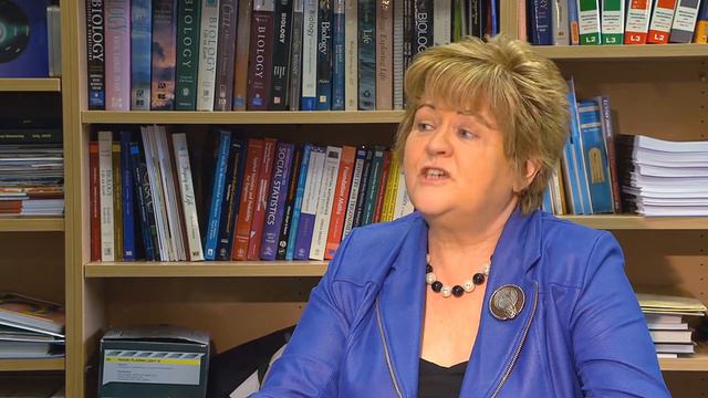 Exchanges With Authors: Silvia Edling And Geraldine Mooney Simmie - Chapter 2: Historical Backgroun