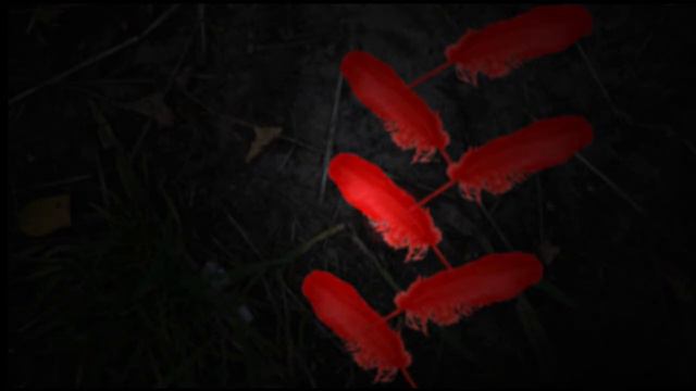 Creepypasta - El Búho De Plumas Rojas - Nota 1º