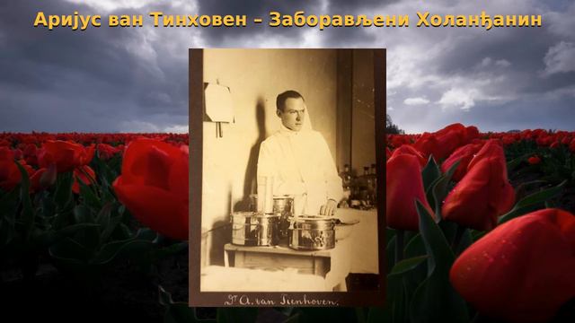 Аријус ван Тинховен – Заборављени Холанђанин / Arijus Van Tinhoven – The Forgotten Dutchman