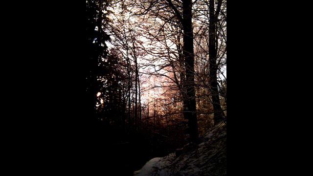 37e6403cf6589356c631c5037f46c77d