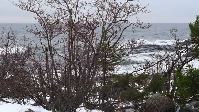 Resan Från Nationalromantik Till Nationalglobalism. Vad Händer Nu? Tankar Från Havet 20/12 2022