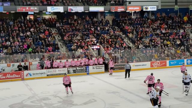 Dakota Betts Vs Luke Bignell (OHL Fight)