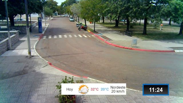 VIVO TOMAS GOMENSORO