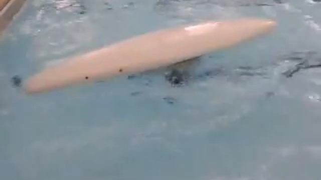 Thomas Cartwright Hand Role