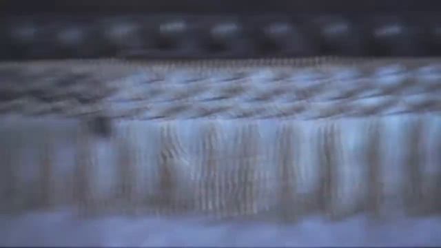 Tributo A La Duquesa De Alba