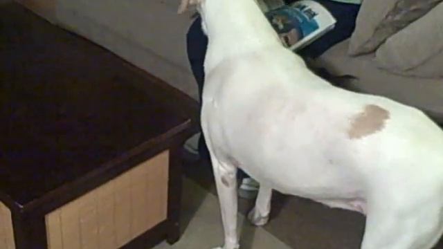 E0be558f5259935764753f42860e7d9f