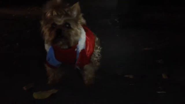 Samantha Barks Tribute. Roxie In  “On My Own” Les Miserables