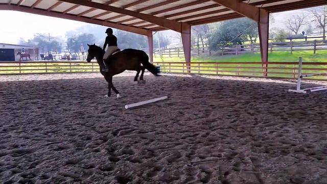 Bling Jumping Clinic 3 1/10/15
