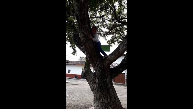 Te Amo Hijo, Eres Mi  Vida  Iker Samuel Perdomo Fula