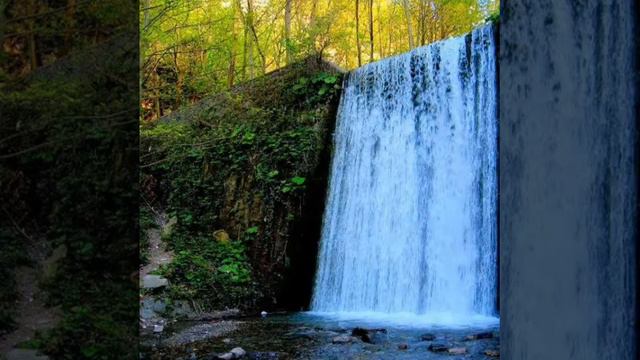 Neriman Altındağ Tüfekçi - Yüce Dağlar Karanlığın  Bastımı
