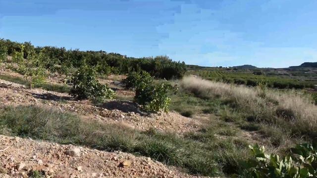 Aa9a6317a9b32549c457207f81ec7d86