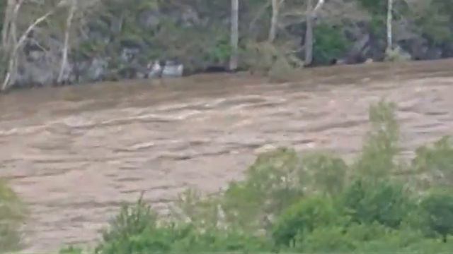 0ffaf0e723956423a6ad5fc392fa592a