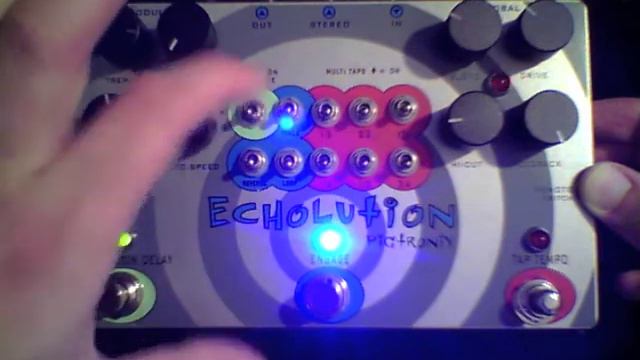 Pigtronix - Echolution - Self Oscillation