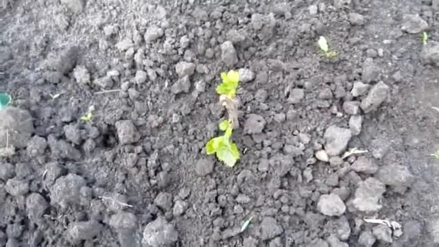 94cb7df7658d5507ed9d9abea7a02d28