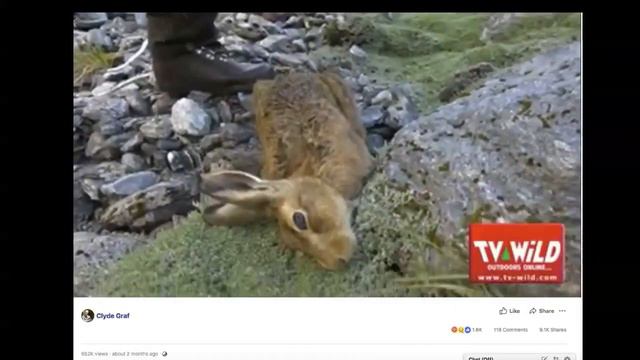 The Poisoning Of New Zealand - Facts And The Agenda!