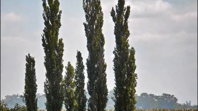 04e346a1aefbac0f64ac2e7107c84aff