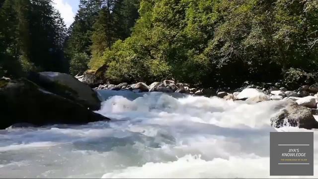 Hazrat Musa Ny Moat K Farishty Ko Thapar Kyoun Mara || Jiya's Knowledge|| Jiya's Channel