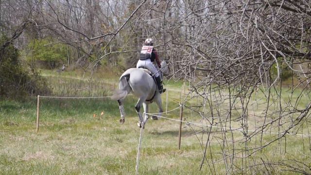 2016 CDCTA Horse Trials: Prelim And Training XC
