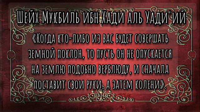 Шейх Мукбиль ибн Хади аль Уади'ий ✍️Бахтияр абу Карим аль Уйгури